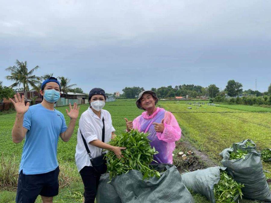 Phương Thanh đến tận vườn cắt rau muống để gửi tặng các khu phong tỏa